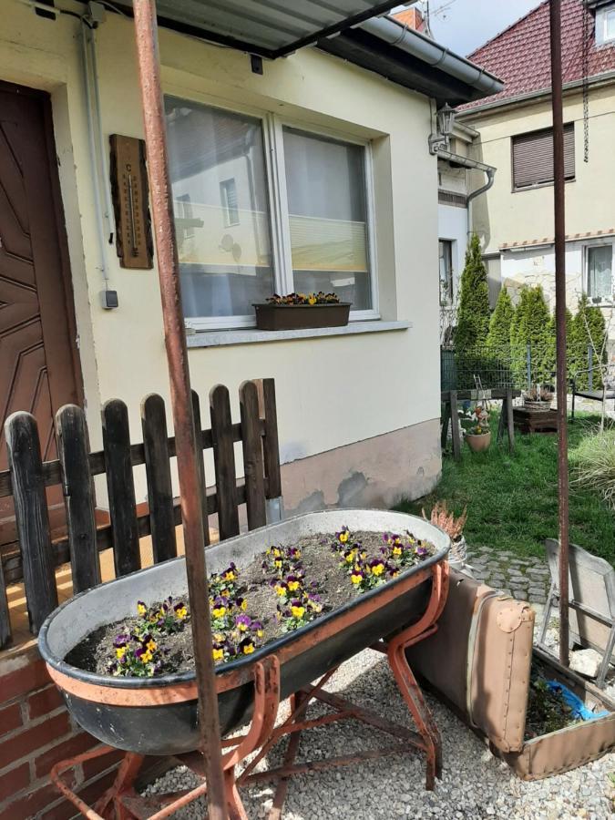 Apartment Sorgenfrei Caputh Bagian luar foto