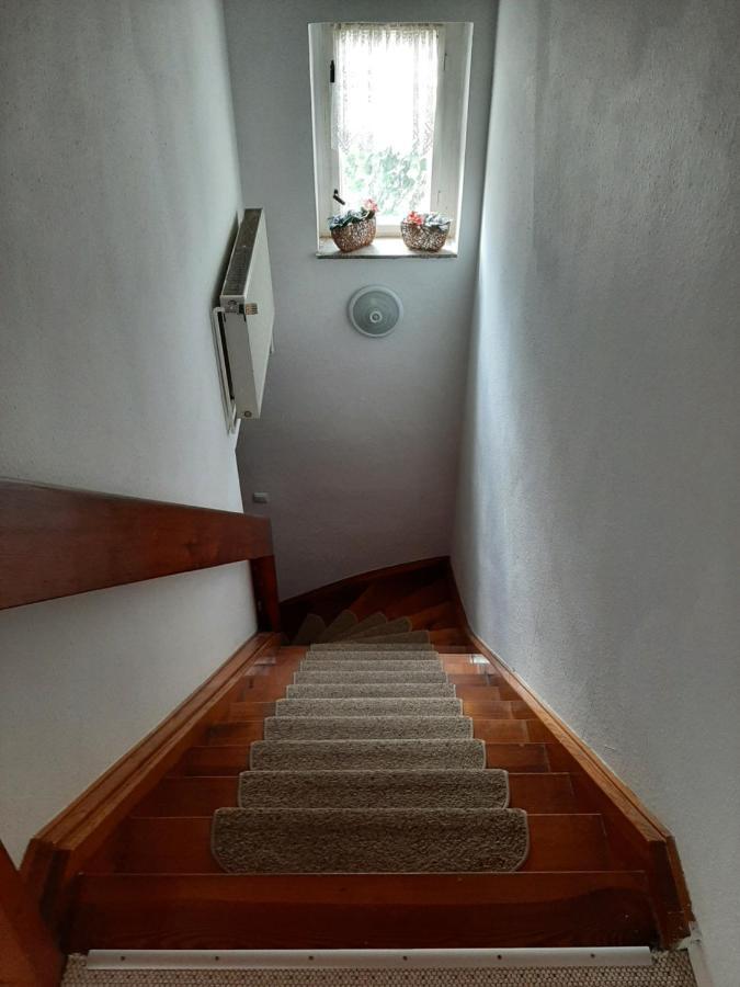Apartment Sorgenfrei Caputh Bagian luar foto